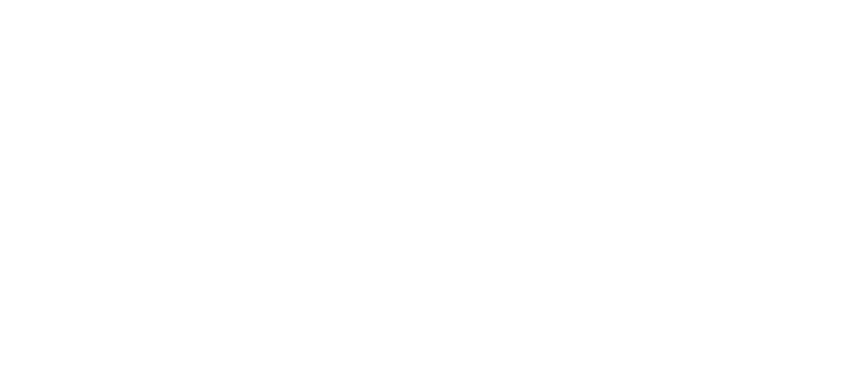 Falcon Wonder Studio